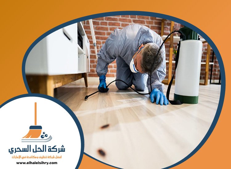 شركة تعقيم في عجمان