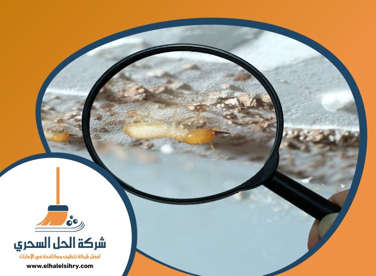 شركة مكافحة الرمة