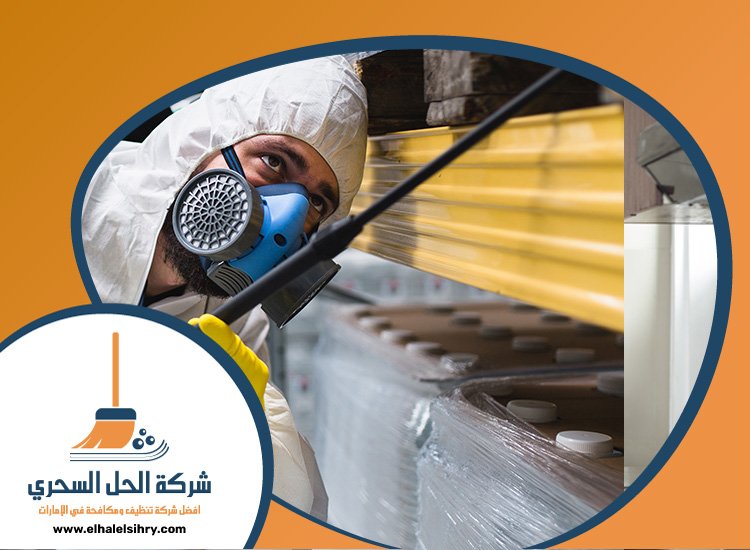شركة مكافحة حشرات في ام سقيم