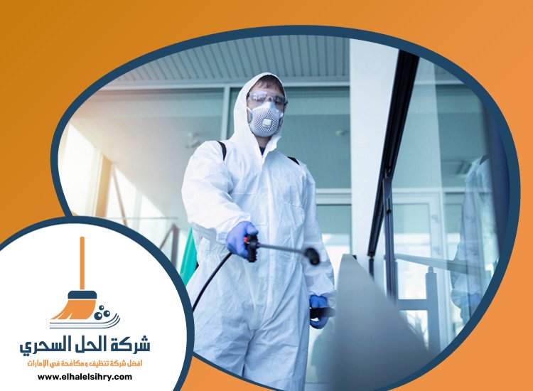 شركة مكافحة حشرات في ام سقيم