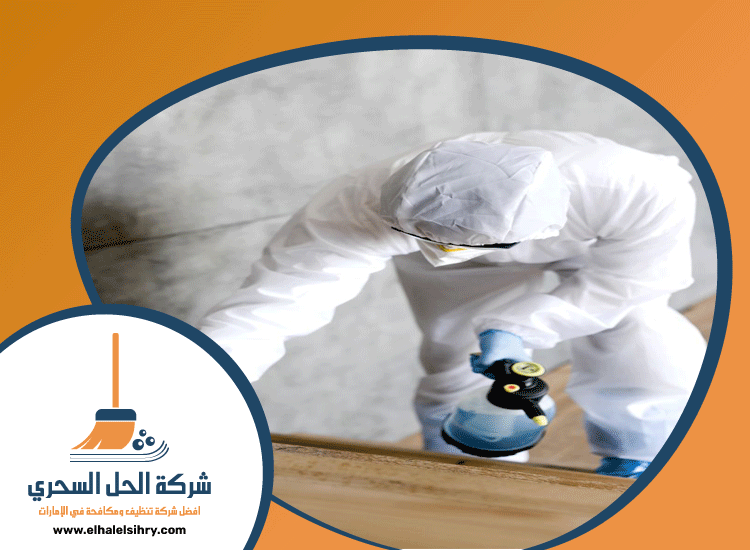 شركة مكافحة الرمة في ميسلون