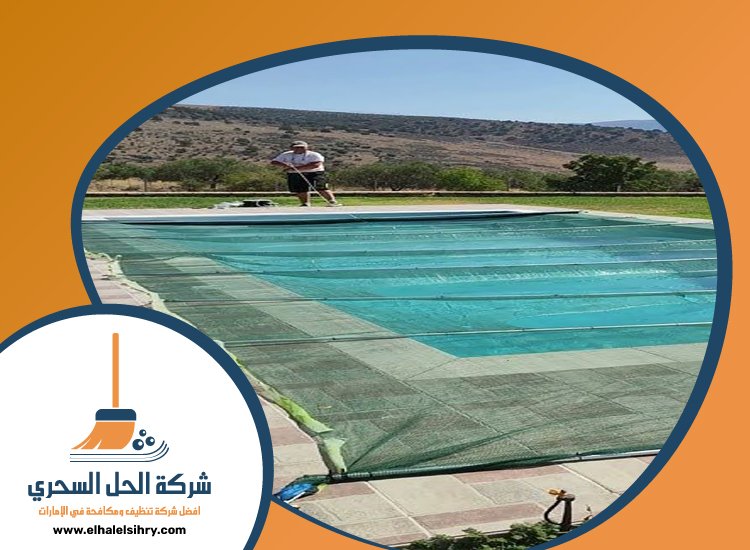 شركة تنظيف مسابح في دبي