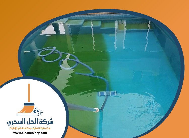 شركة تنظيف مسابح في عجمان