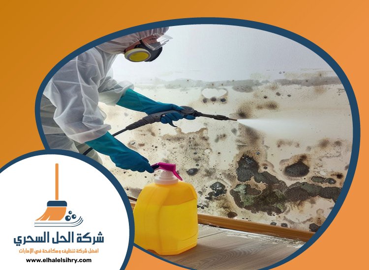 شركة تنظيف حوائط