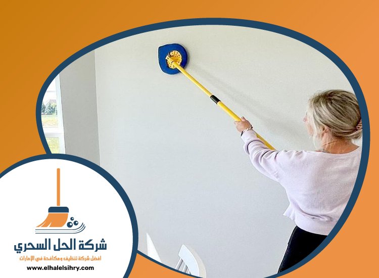 شركة تنظيف حوائط