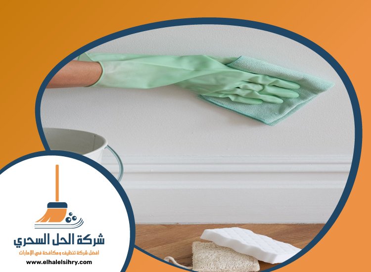 شركة تنظيف حوائط في الشارقة