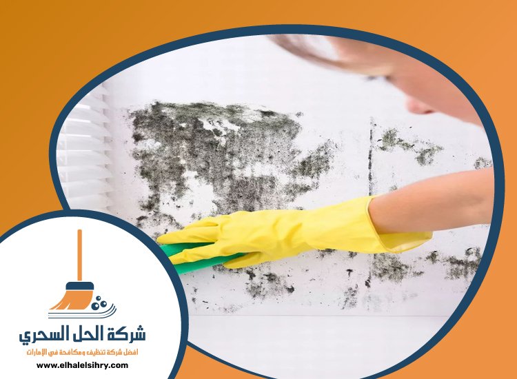 شركة تنظيف حوائط في الشارقة