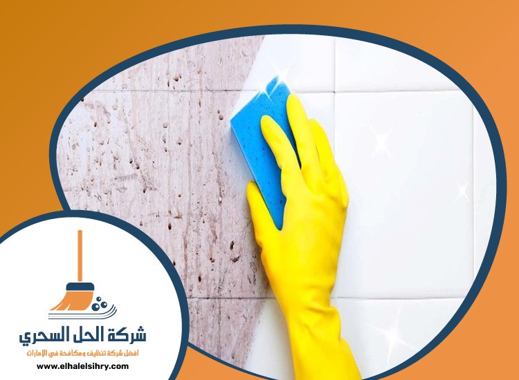 شركة تنظيف حوائط في الشارقة