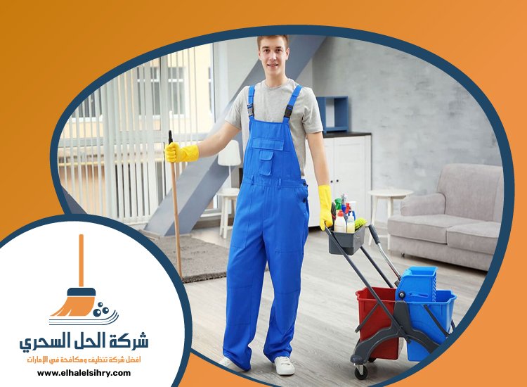 شركة تنظيف شقق في الفجيرة 5 شركة تنظيف شقق في الفجيرة