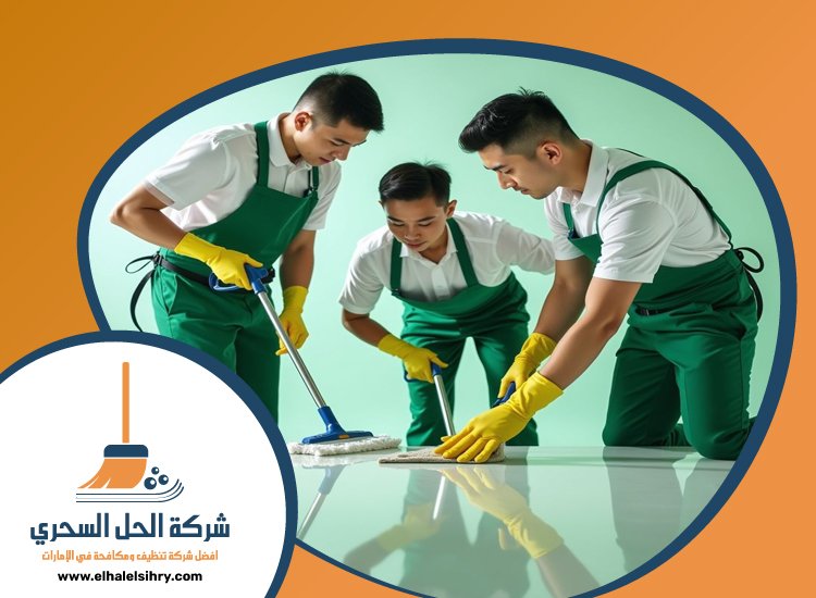 شركة تنظيف