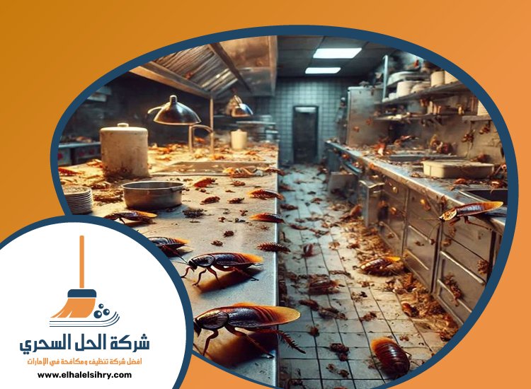 شركة مكافحة الصراصير في دبي 2 77