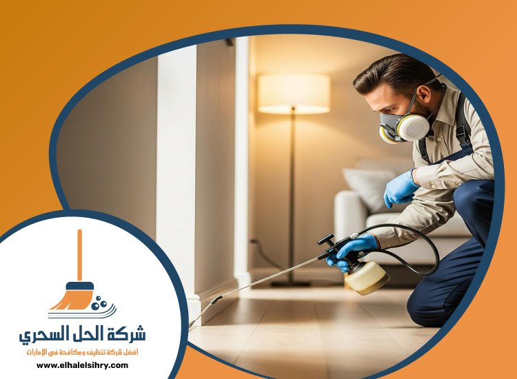 شركة مكافحة الصراصير في دبي 3 شركة مكافحة الصراصير في دبي