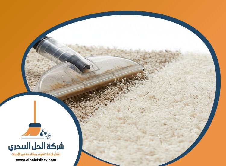 شركة تنظيف سجاد في الفجيرة 4 شركة تنظيف سجاد في الفجيرة