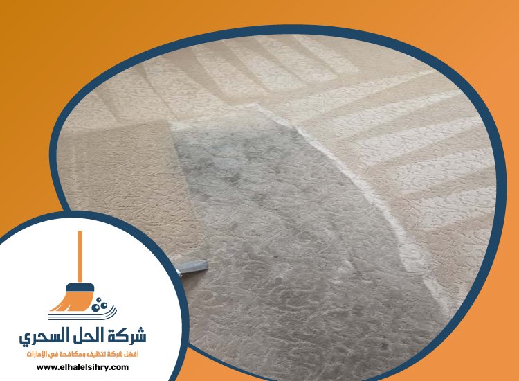 شركة تنظيف سجاد في راس الخيمة 5 شركة تنظيف سجاد في راس الخيمة