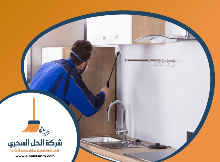 شركة مكافحة حشرات في الشارقة 4 شركة مكافحة حشرات في الشارقة