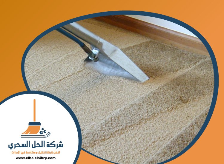 شركة تنظيف سجاد في عجمان 5 شركة تنظيف سجاد في عجمان