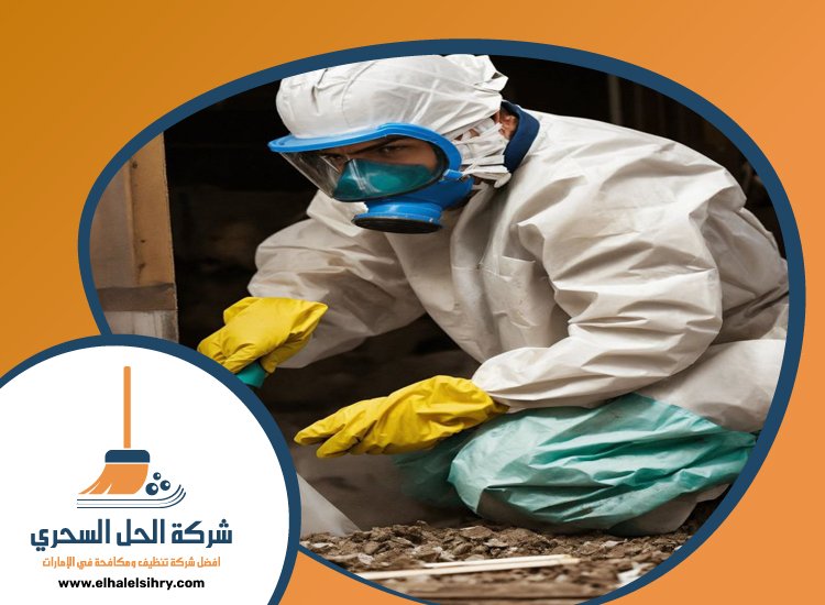 شركة مكافحة الرمة في دبي 4 شركة مكافحة الرمة في دبي