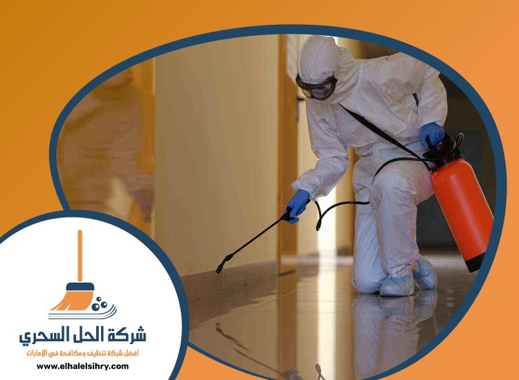 شركة مكافحة حشرات في خورفكان