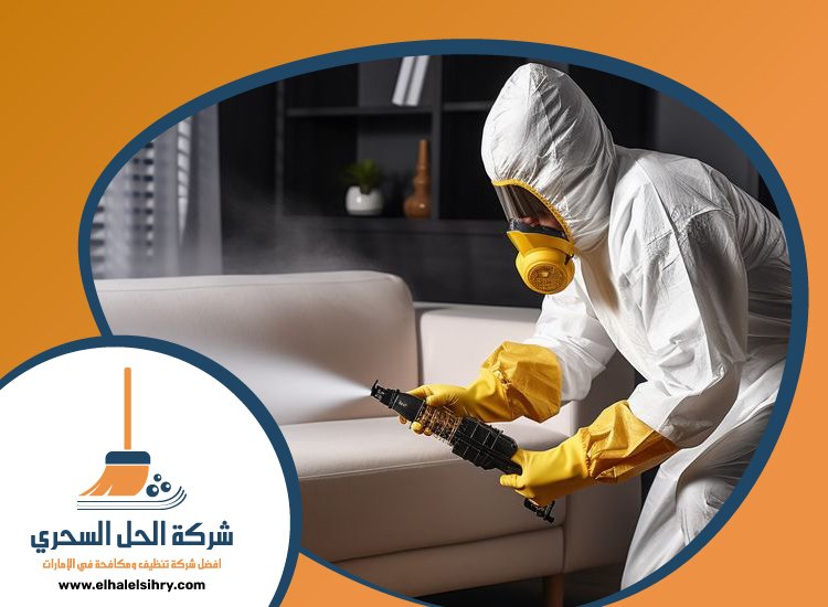 شركة مكافحة حشرات في خورفكان