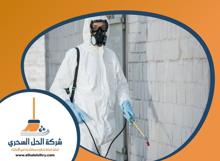 شركة مكافحة حشرات في الطور