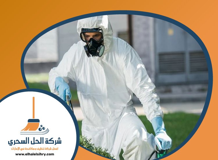 شركة مكافحة الرمة في الشارقة 3 شركة مكافحة الرمة في الشارقة