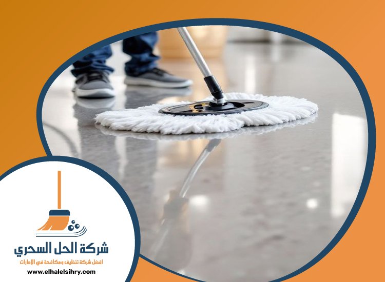 شركة تنظيف في البرشاء 2 209M