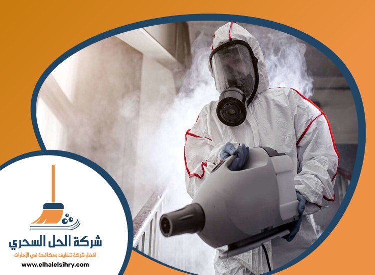 شركة مكافحة حشرات في عجمان 5 شركة مكافحة حشرات في عجمان