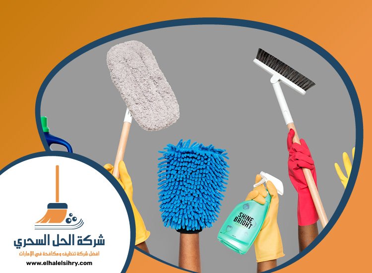 شركة تنظيف في الراشدية