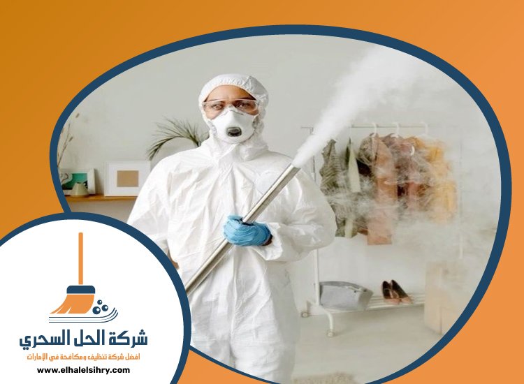 شركة مكافحة حشرات في راس الخيمة 5 شركة مكافحة حشرات في راس الخيمة