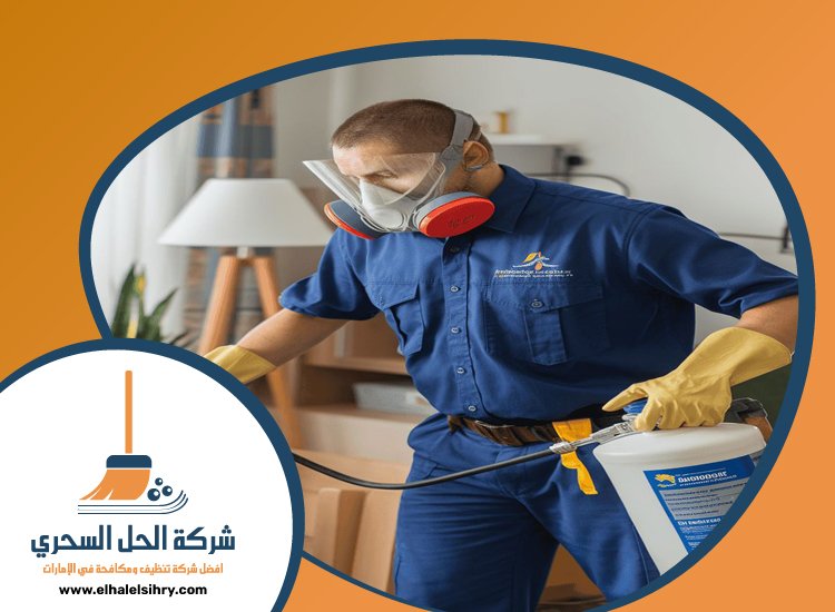 شركة مكافحة الرمة في ميسلون 5 شركة مكافحة الرمة في ميسلون