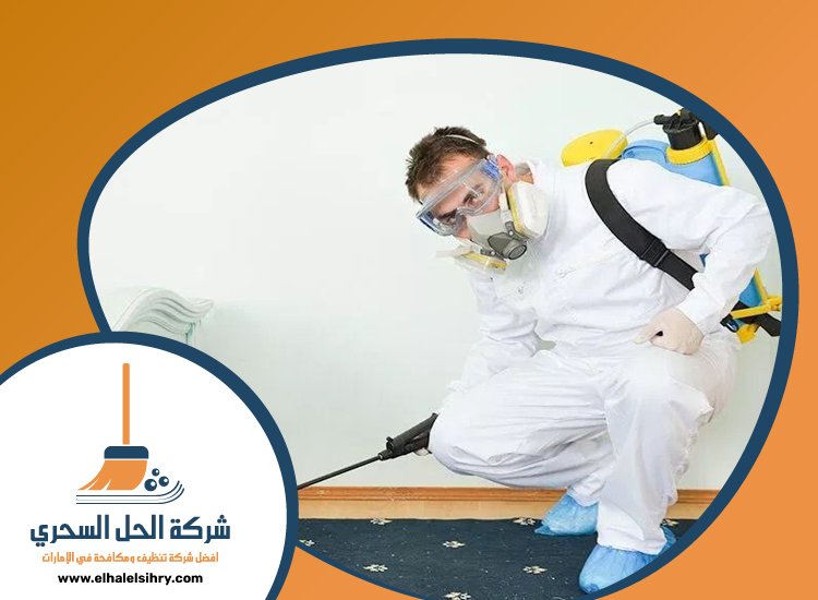شركة مكافحة الرمة في المزهر 3 شركة مكافحة الرمة في المزهر