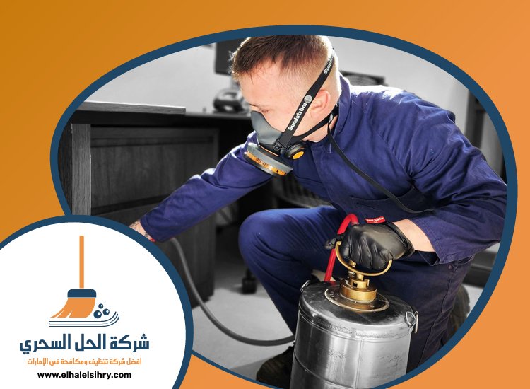 شركة مكافحة حشرات في الشارقة