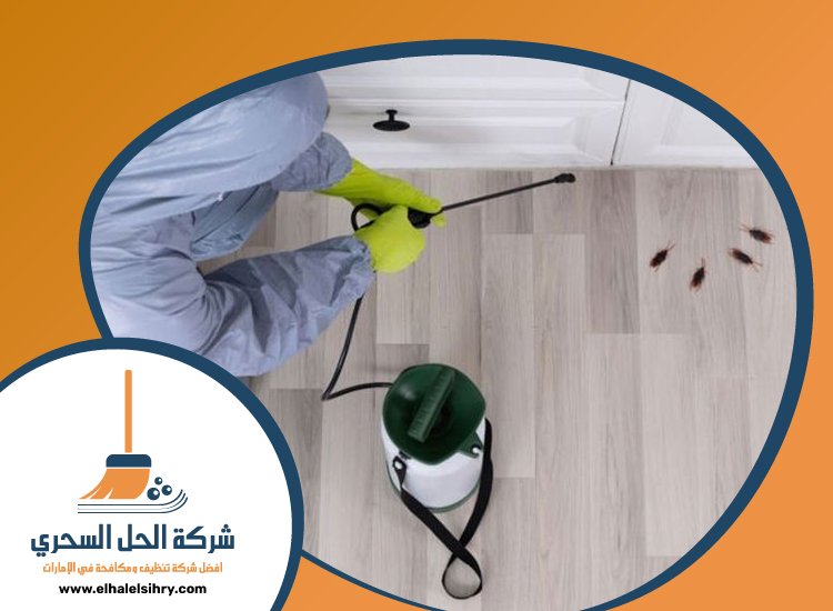 شركة مكافحة الصراصير في الفجيرة 4 شركة مكافحة الصراصير في الفجيرة