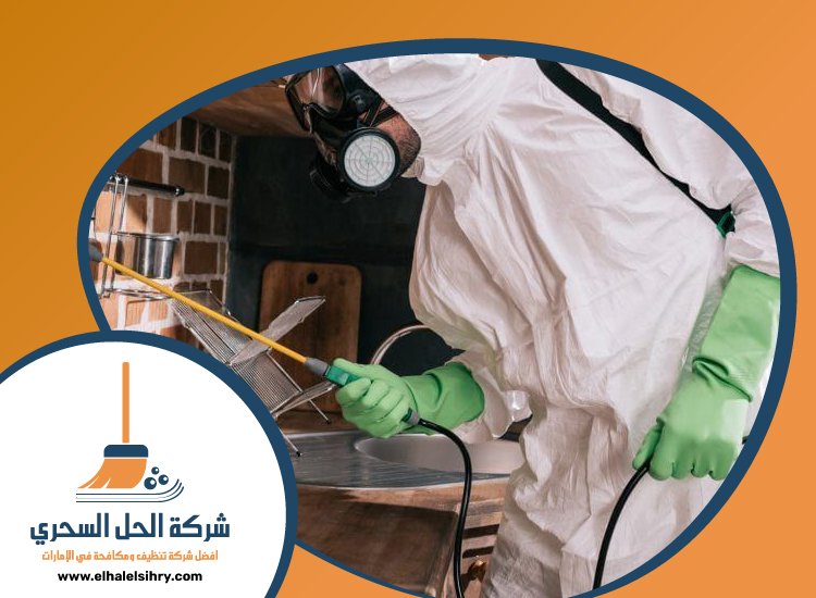 شركة مكافحة الرمة في القصيص 4 شركة مكافحة الرمة في القصيص