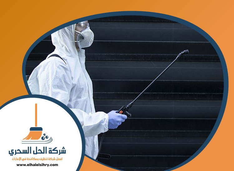 شركة مكافحة الرمة في السطوة 5 شركة مكافحة الرمة في السطوة