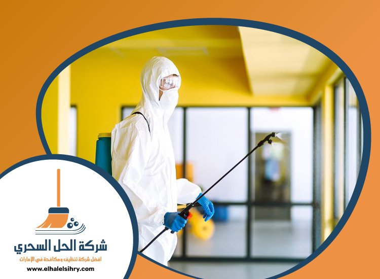 شركة مكافحة الرمة في السطوة 3 شركة مكافحة الرمة في السطوة