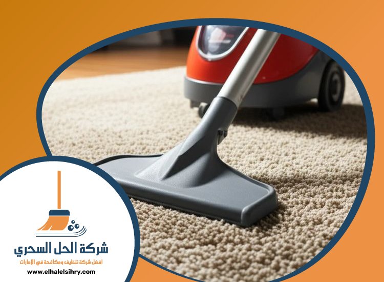 شركة تنظيف سجاد في دبي 4 شركة تنظيف سجاد في دبي