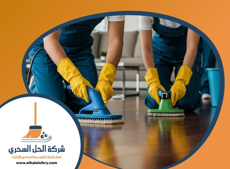 شركة تنظيف فلل في دبي 4 شركة تنظيف فلل في دبي