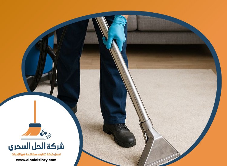شركة تنظيف سجاد في دبي 3 شركة تنظيف سجاد في دبي