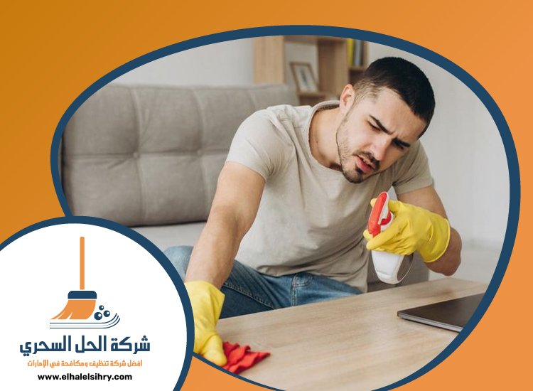 شركة تنظيف قصور في الشارقة 4 شركة تنظيف قصور في الشارقة
