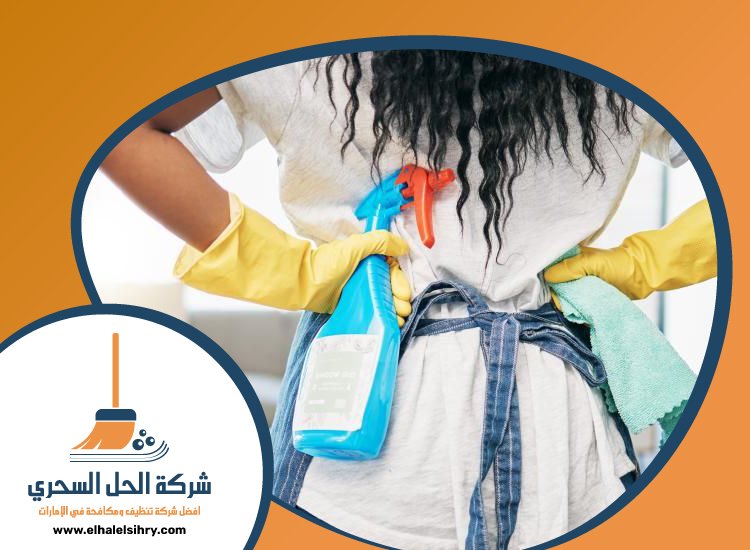 شركة تنظيف قصور في دبي 3 شركة تنظيف قصور في دبي