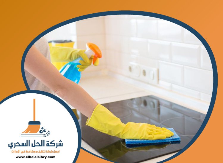 شركة تنظيف قصور في دبي 4 شركة تنظيف قصور في دبي