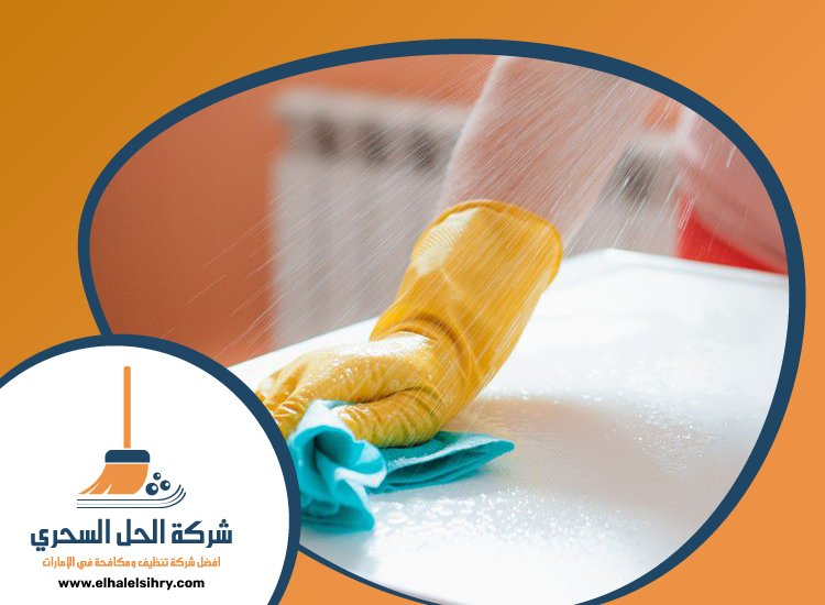 شركة تنظيف قصور في دبي 5 شركة تنظيف قصور في دبي