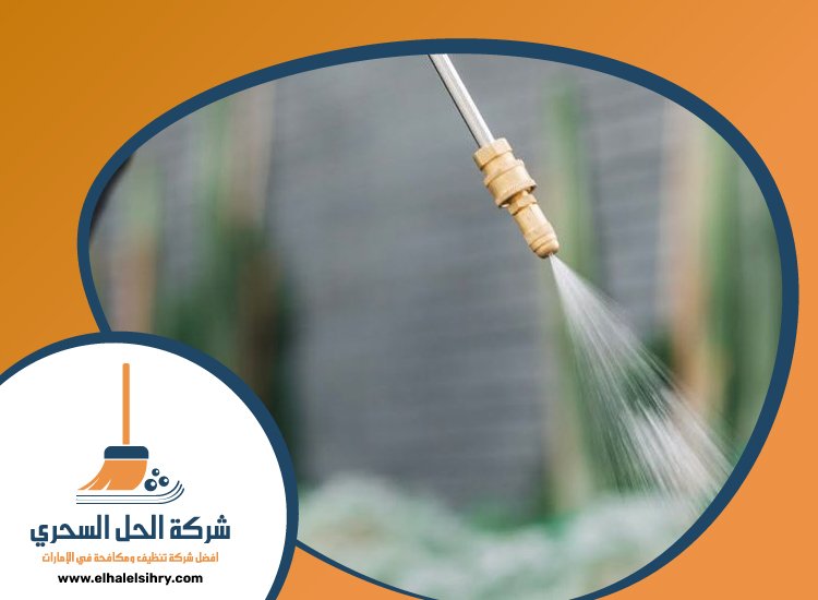 شركة مكافحة حشرات في إعمار 4 شركة مكافحة حشرات في إعمار