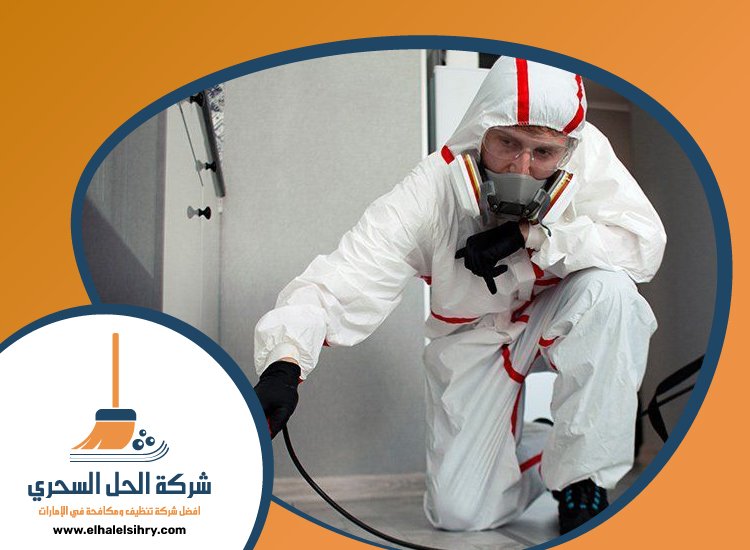 شركة مكافحة الصراصير في عجمان 3 شركة مكافحة الصراصير في عجمان
