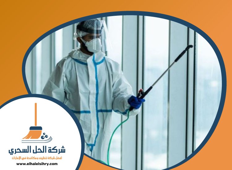 شركة مكافحة حشرات في الرمثاء 4 شركة مكافحة حشرات في الرمثاء