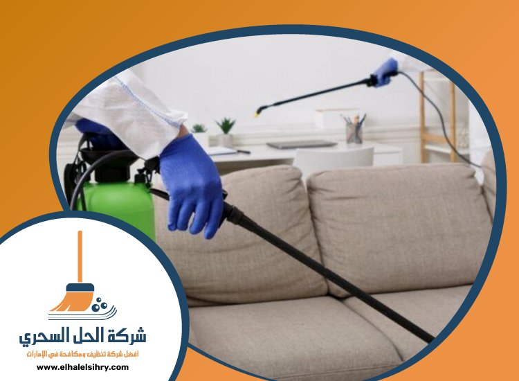 شركة مكافحة حشرات في الرمثاء 5 شركة مكافحة حشرات في الرمثاء