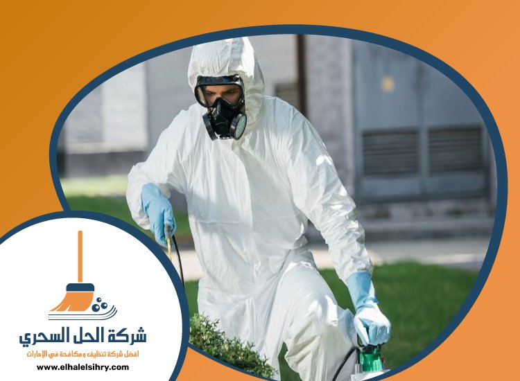 شركة مكافحة حشرات في الدراري 4 شركة مكافحة حشرات في الدراري