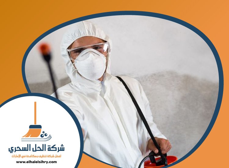 شركة مكافحة حشرات في الدراري 5 شركة مكافحة حشرات في الدراري