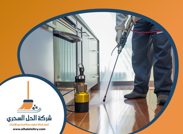 شركة مكافحة حشرات في دبي 3 شركة مكافحة حشرات في دبي